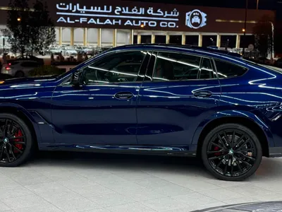 2024 بي ام دبليو الفئة اكس 6