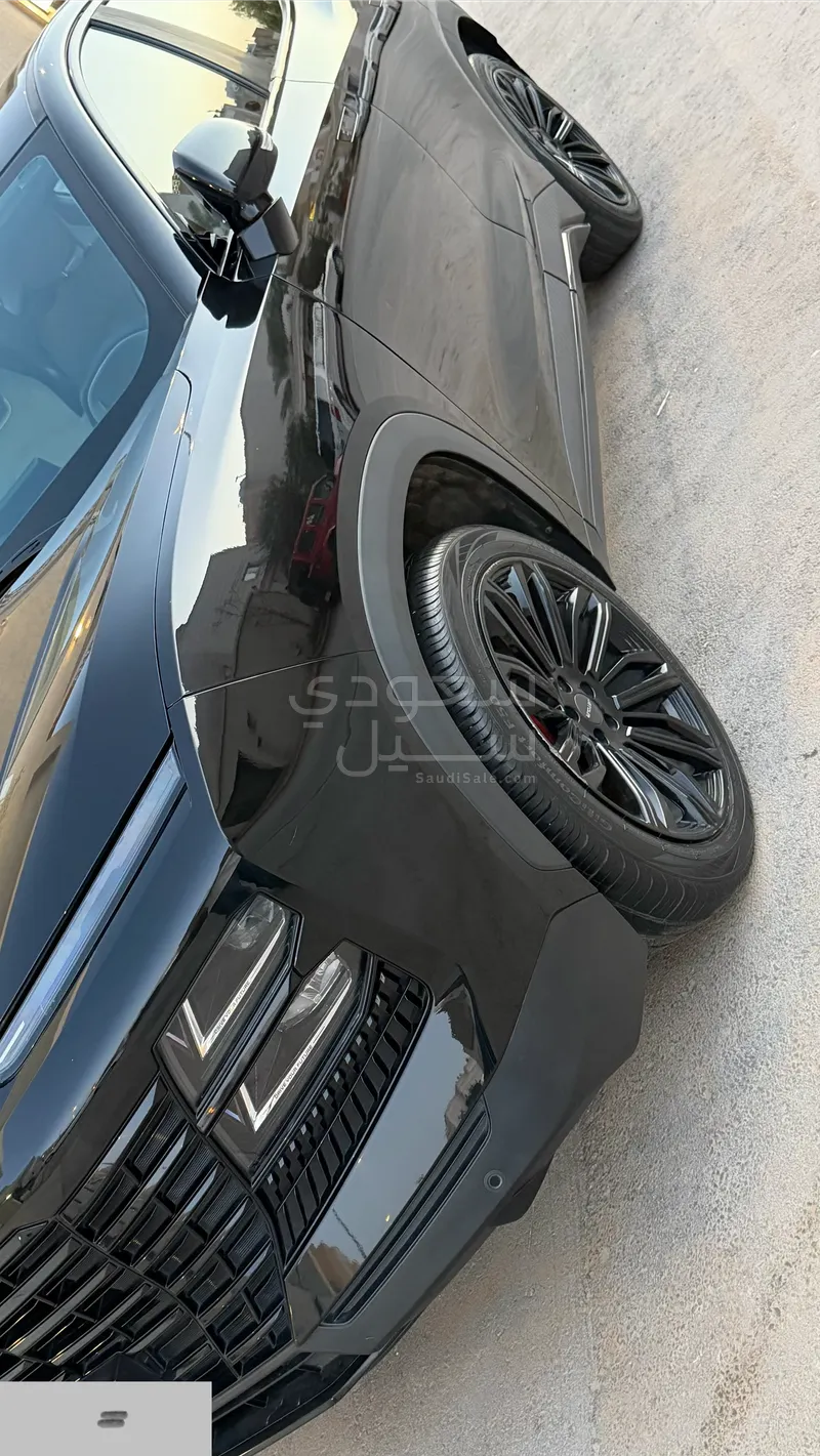 2024 جيتور داشينج