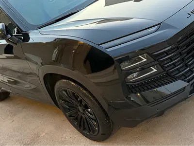 2024 جيتور داشينج