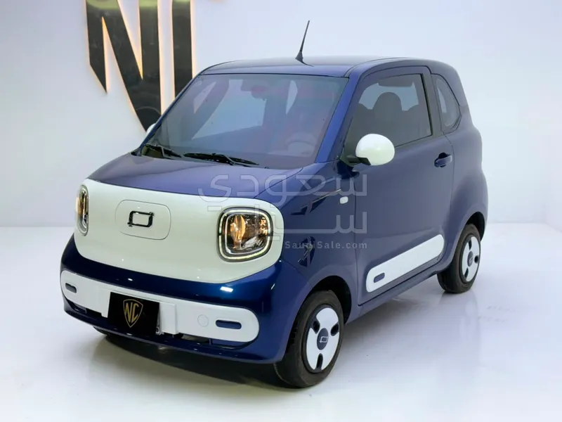 2025 فاو بيستون ميني إي في