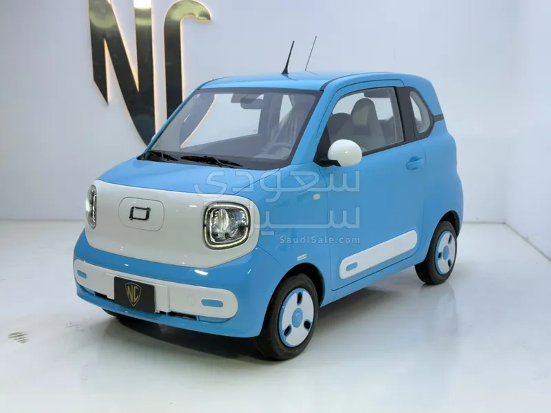 2025 فاو بيستون ميني إي في