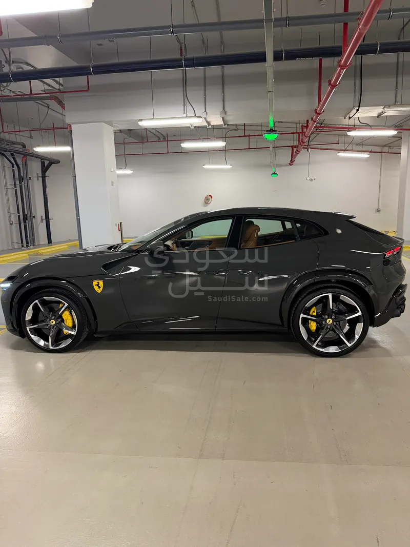 2026 فيراري بوروسانجوي