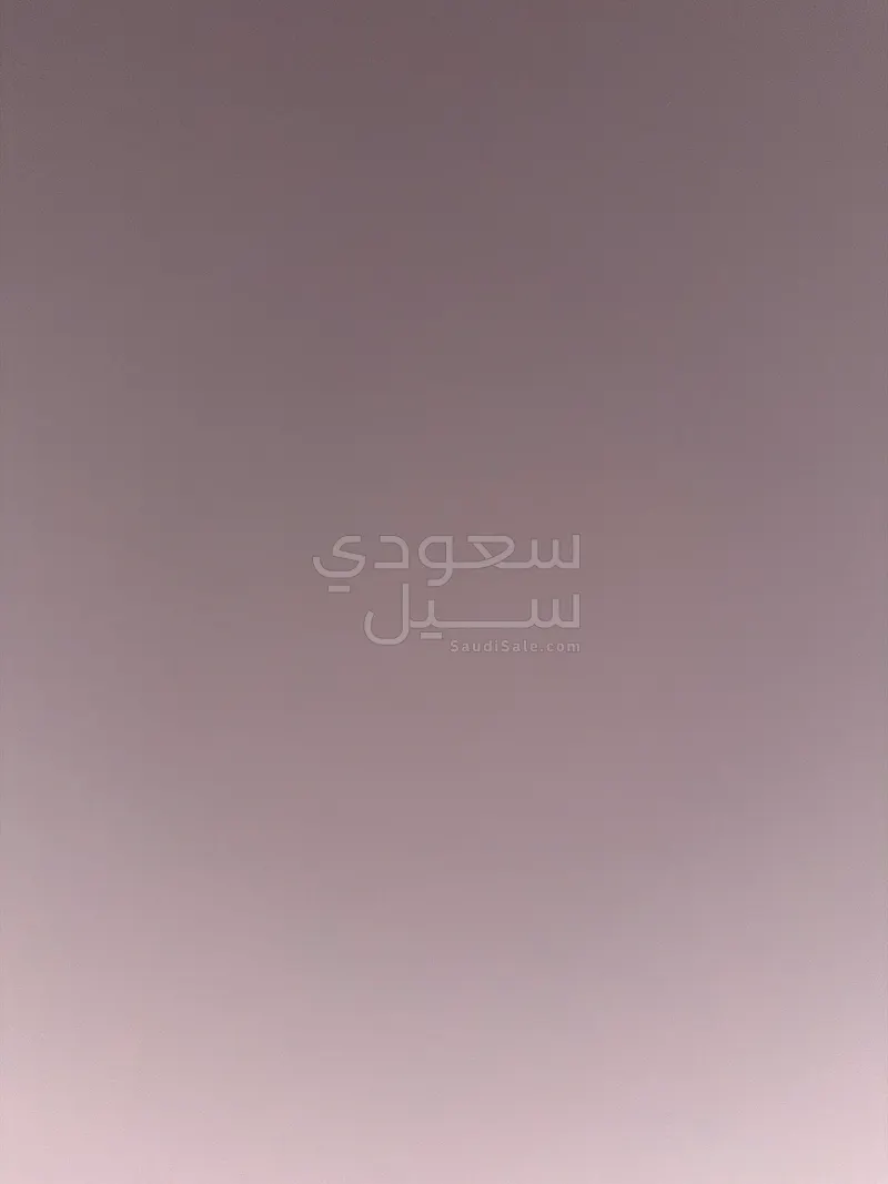 2023 لمبرجيني اوروس بيرفورمانتي