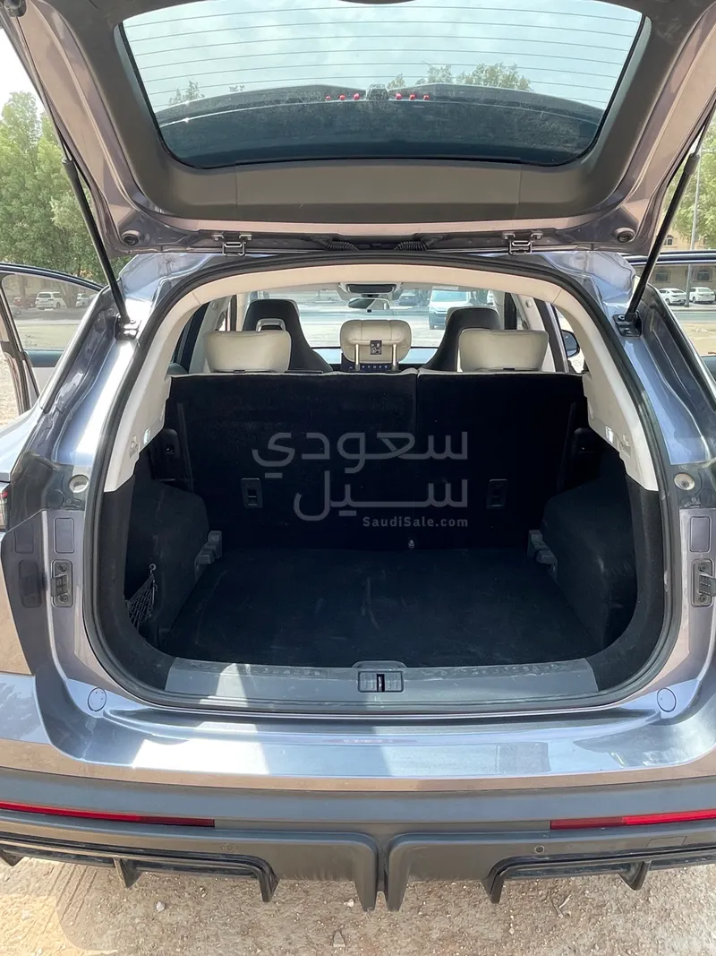 2023 جيتور داشينج