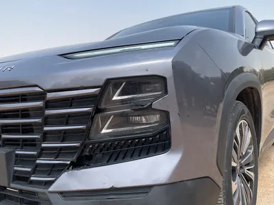 2023 جيتور داشينج