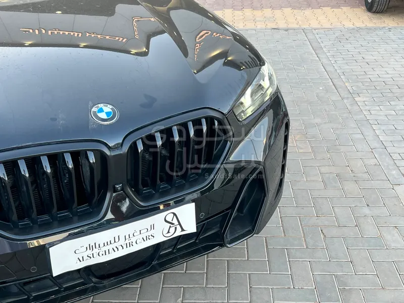 2024 BMW X Series 6 M