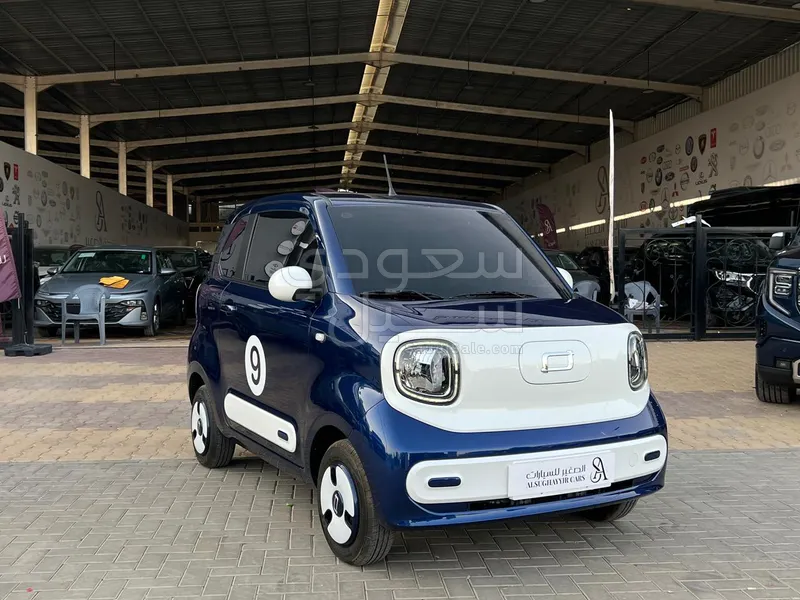 2025 فاو بيستون ميني إي في