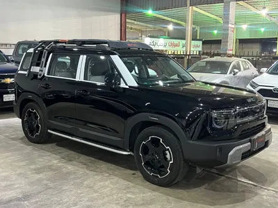2025 بايك بي جاي 30