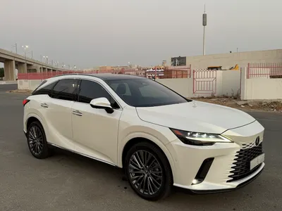 2024 لكزس أر إكس 350