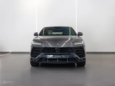 2019 لمبرجيني اوروس