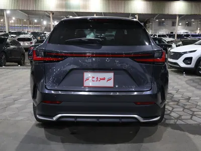 2025 لكزس إن إكس 300 اف سبورت