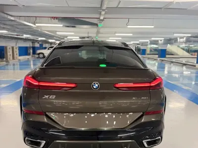 2020 بي ام دبليو الفئة اكس 6