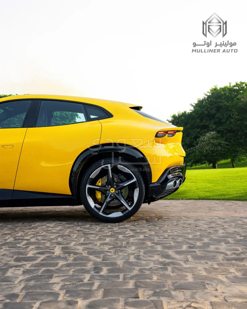 2025 فيراري بوروسانجوي