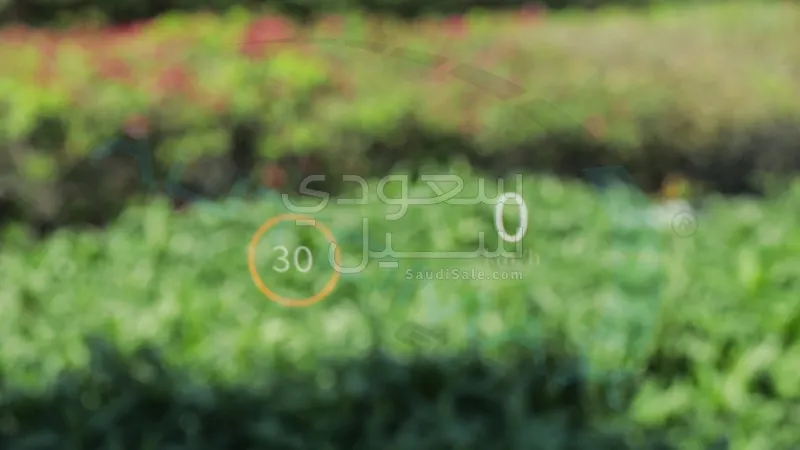 2026 دودج رام 1500 ليمتد