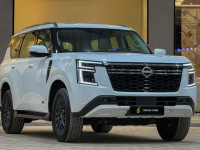 2025 نيسان باترول ال اي