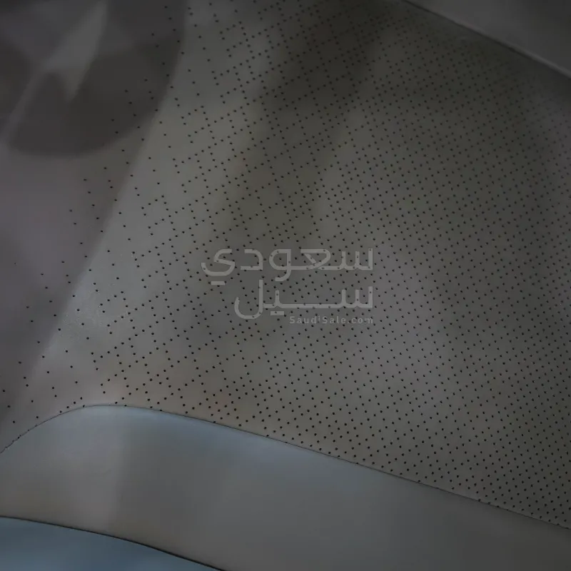 2024 جيتور داشينج