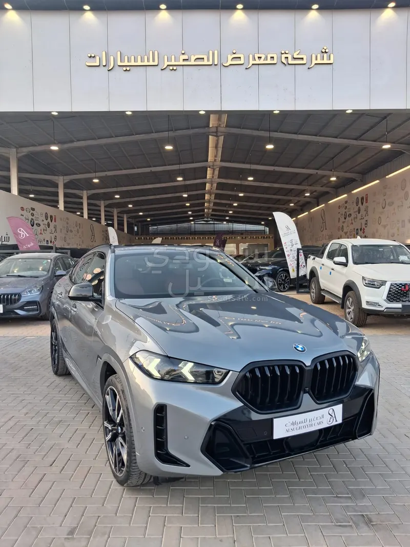 2024 بي ام دبليو الفئة اكس 6