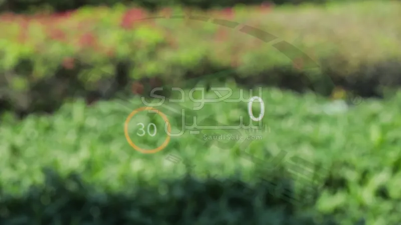 2026 دودج رام 1500 ليمتد