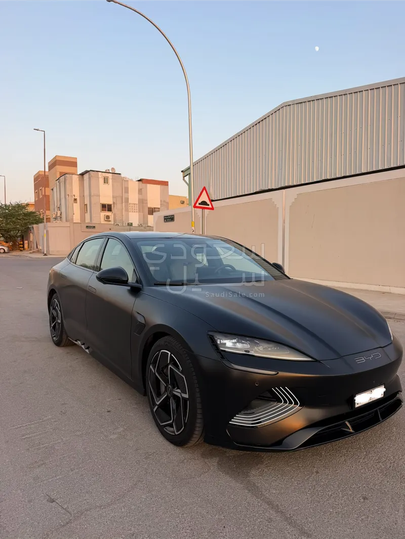 2025 بي واي دي سيل