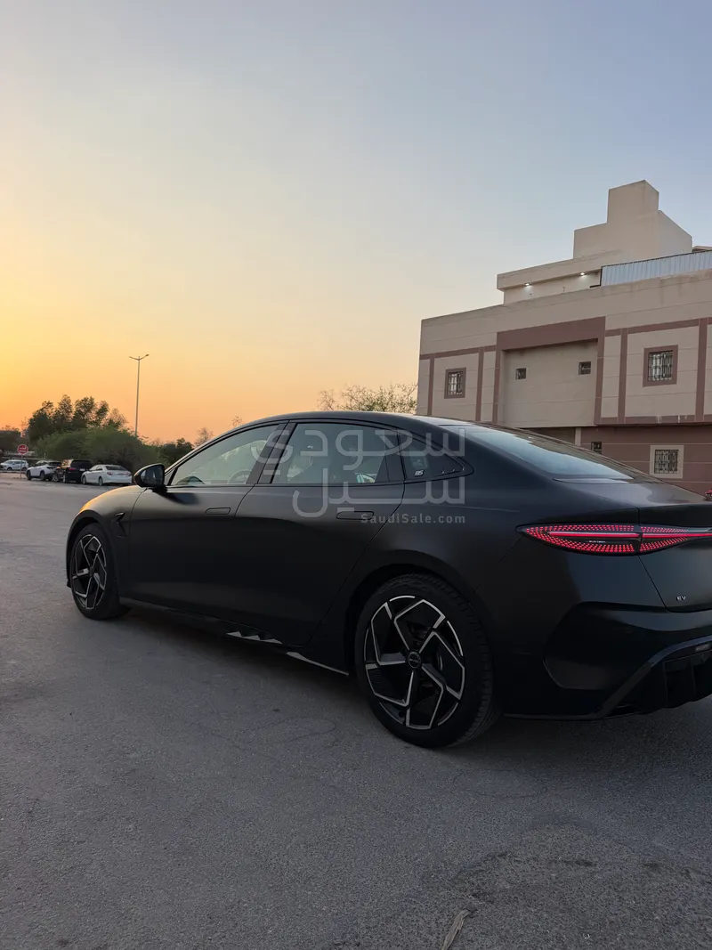 2025 بي واي دي سيل