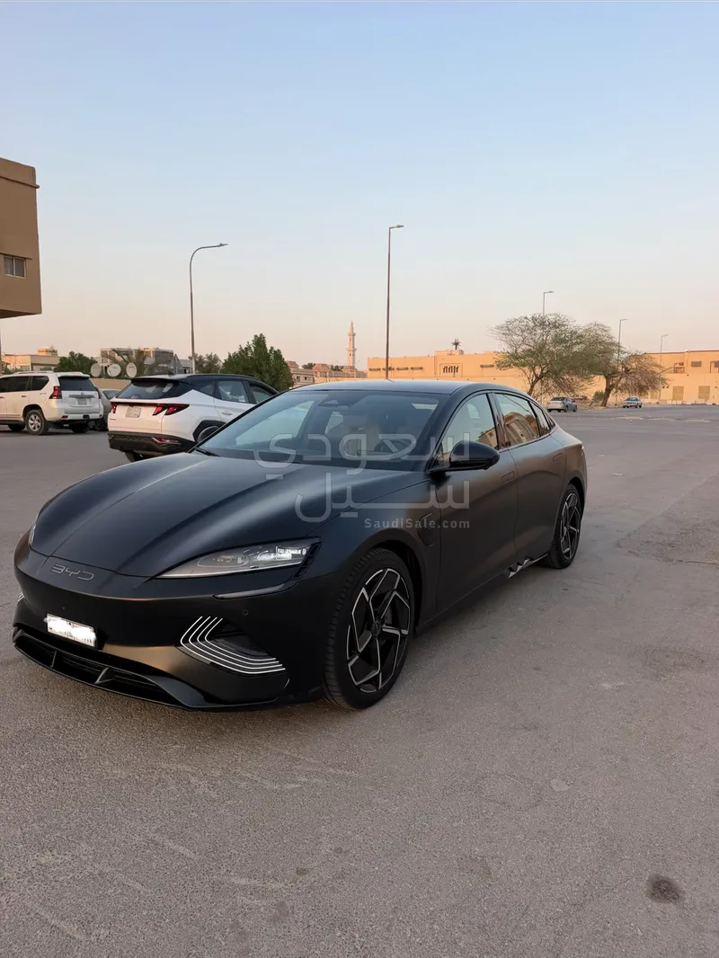2025 بي واي دي سيل