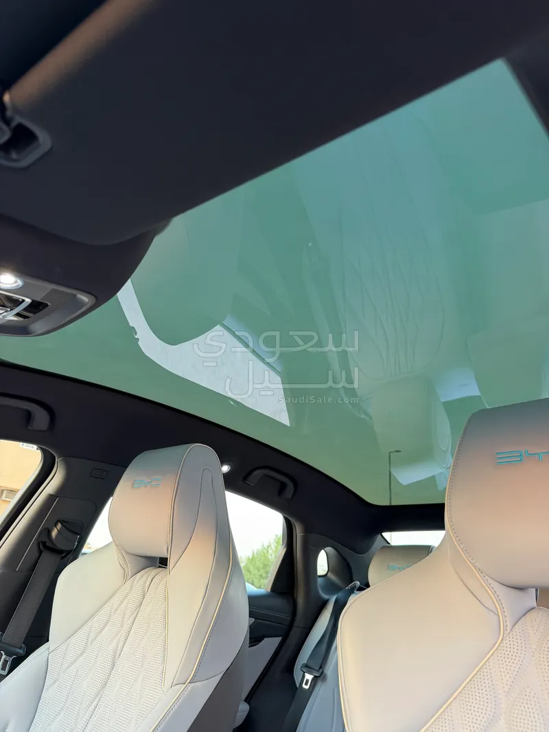 2025 بي واي دي سيل