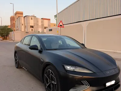 2025 بي واي دي سيل