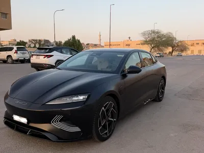 2025 بي واي دي سيل