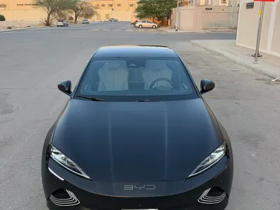 2025 بي واي دي سيل