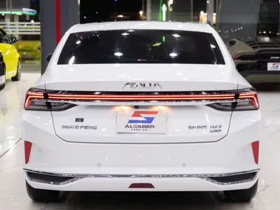 2025 دونج فينج شاين