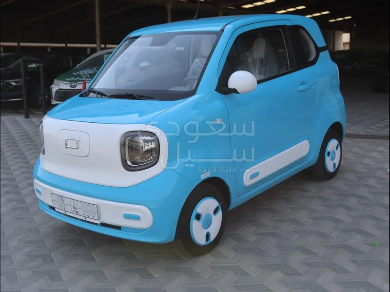 2025 فاو بيستون ميني إي في