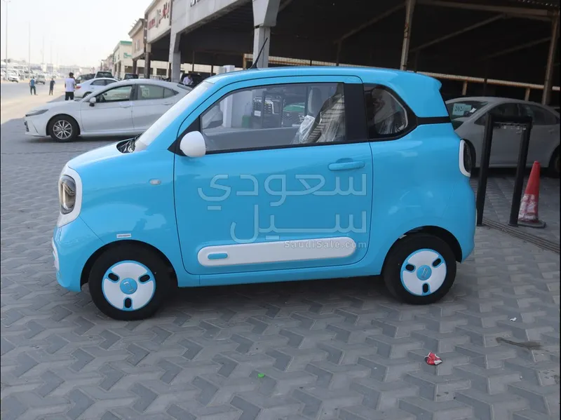 2025 فاو بيستون ميني إي في
