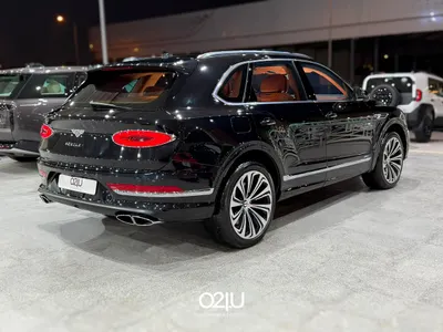 2025 بنتلي بنتايجا