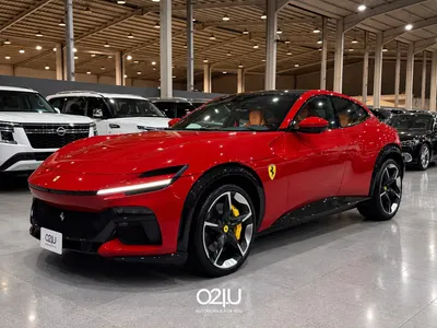 2025 فيراري بوروسانجوي