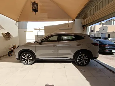 2026 بي واي دي سونج ماكس