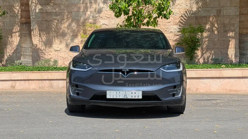 2019 تيسلا موديل اكس 100دي
