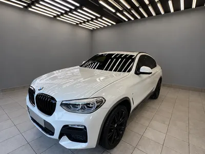 2019 بي ام دبليو الفئة اكس 4