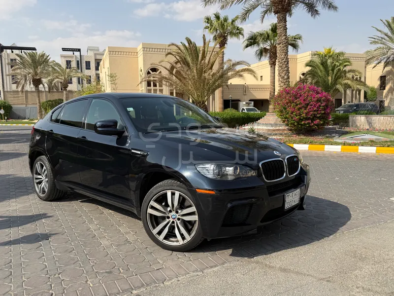 2011 بي ام دبليو اكس ام