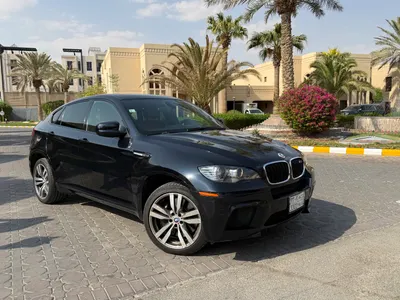 2011 بي ام دبليو اكس ام