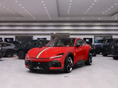 2024 فيراري بوروسانجوي